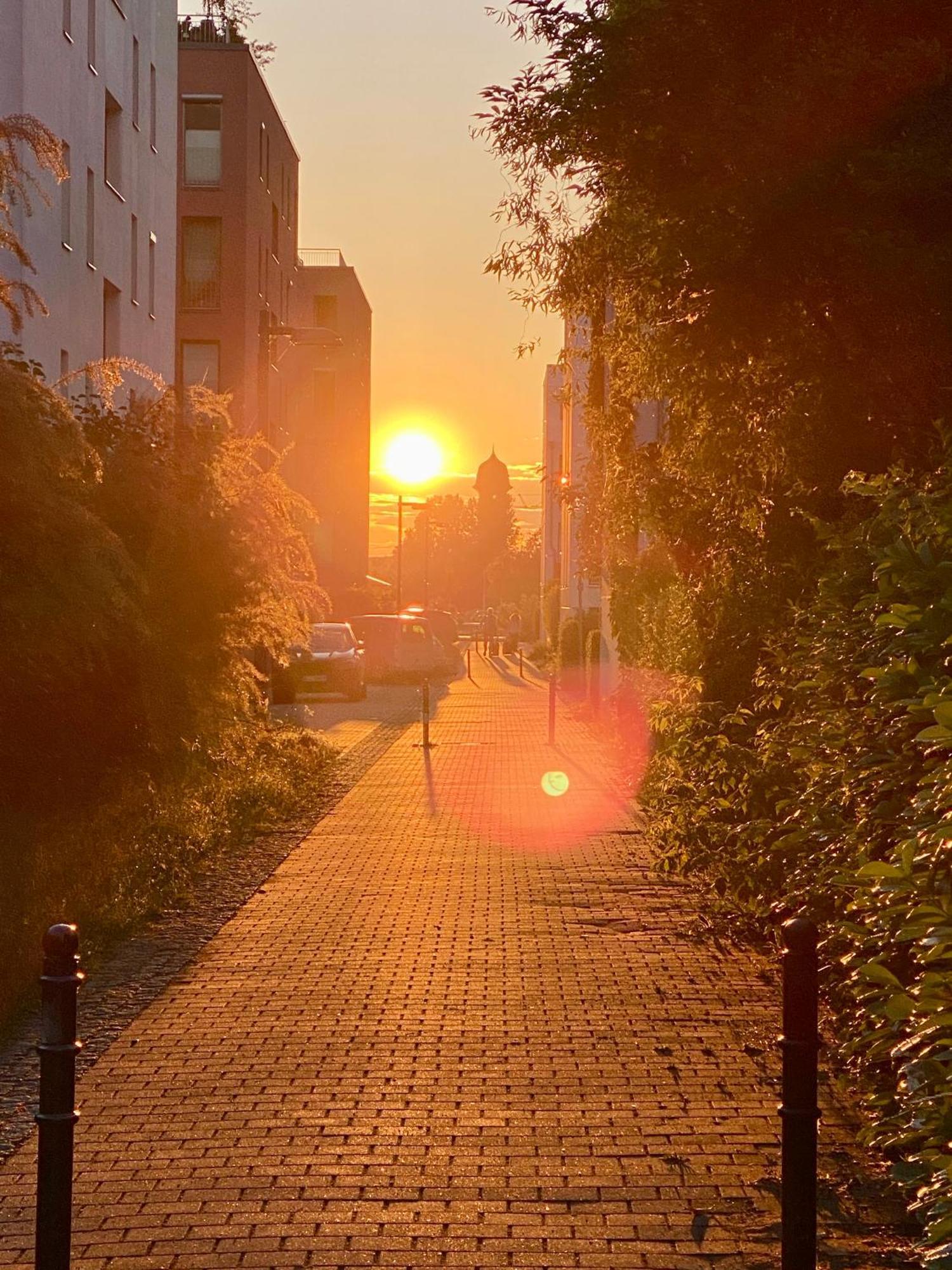 Schoene Aussichten Mitten In Berlin - Il Sole Exteriér fotografie